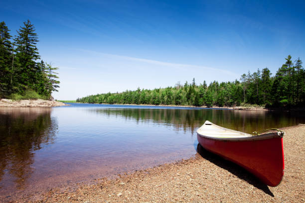 Canoe on lake shore stock photo