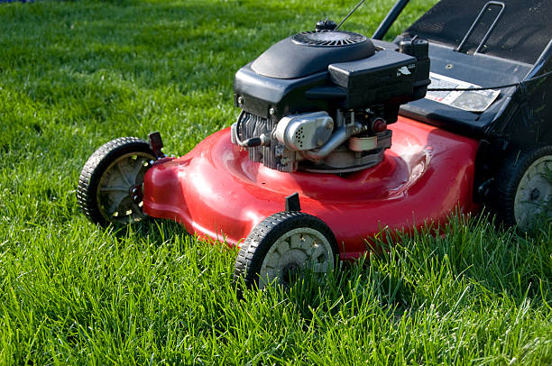 istock Red Lawn Mower in Tall Grass 173894859