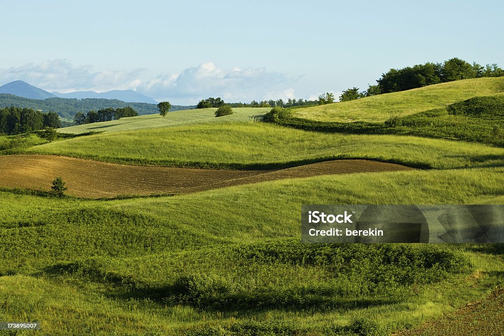 Panoramablick auf Feld und grüne Wiesen - Lizenzfrei Bildhintergrund Stock-Foto