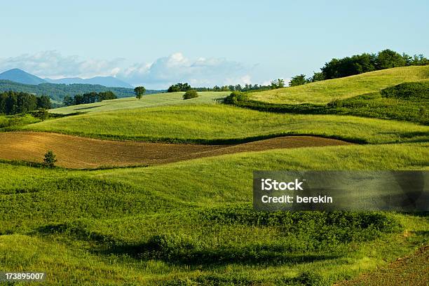Panoramablick Auf Feld Und Grüne Wiesen Stockfoto und mehr Bilder von Bildhintergrund - Bildhintergrund, Blau, Feld
