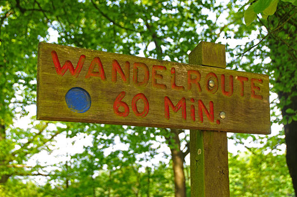 istock Footpath (wandelroute) sign in Dutch wood 173895029