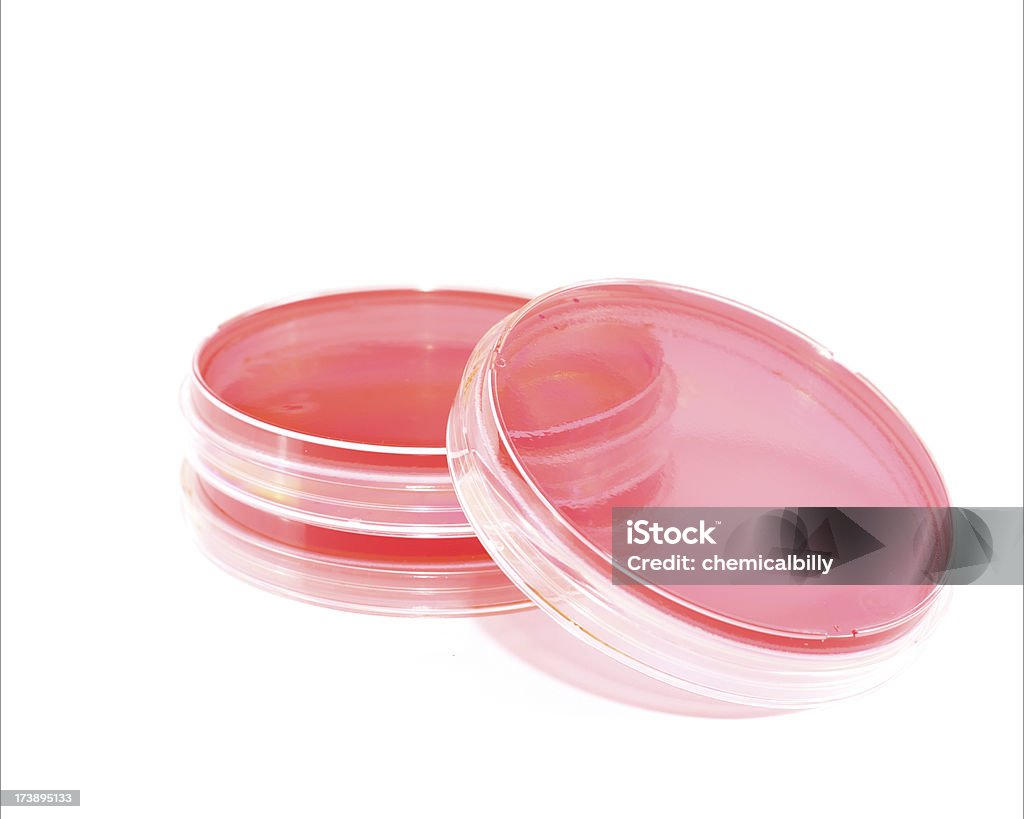 Placas de Petri o placas - Foto de stock de Analizar libre de derechos