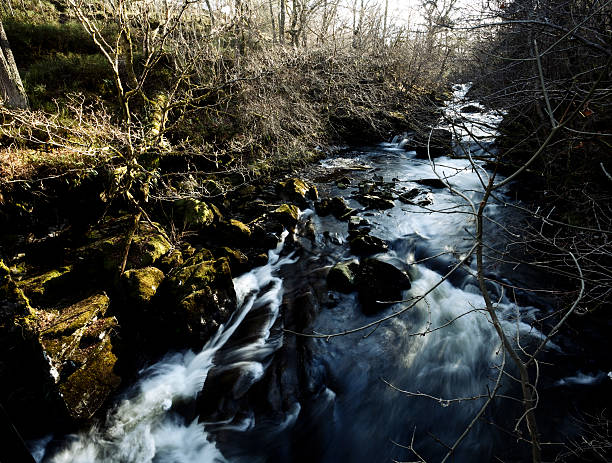 istock Waterfalls in the Wood 173895232