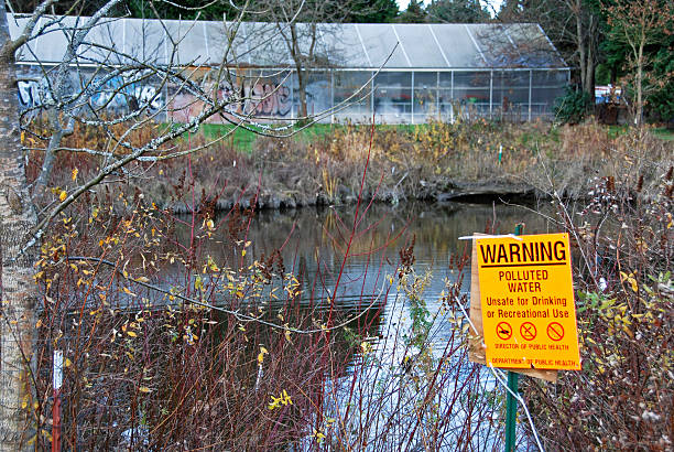 istock Polluted water and greenhouse 173895316