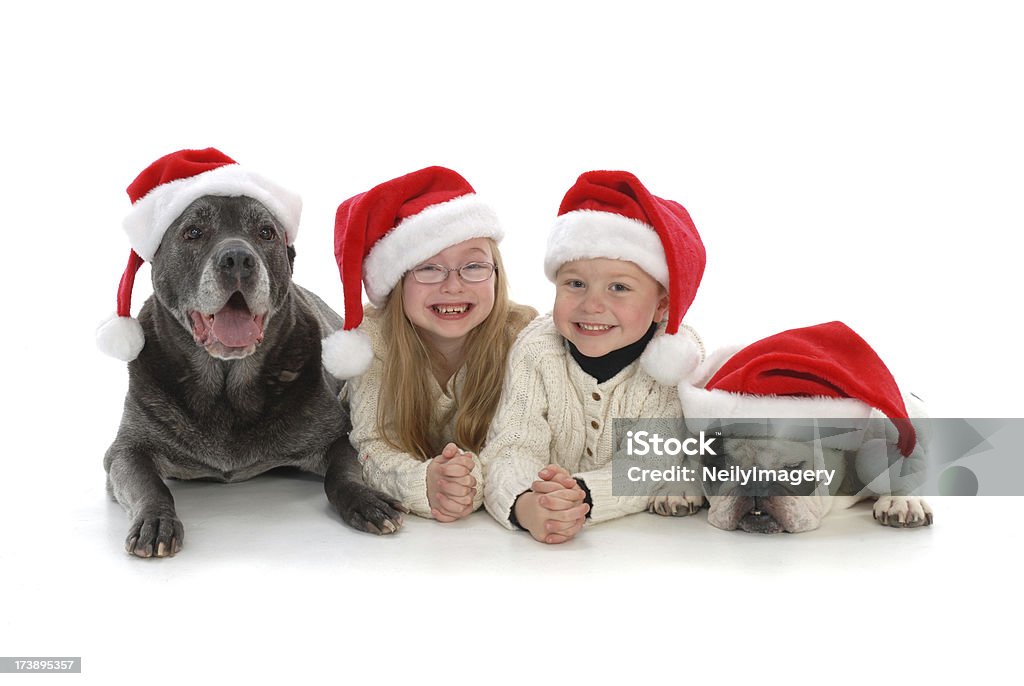 Crianças e Canines Natal - Foto de stock de 4-5 Anos royalty-free