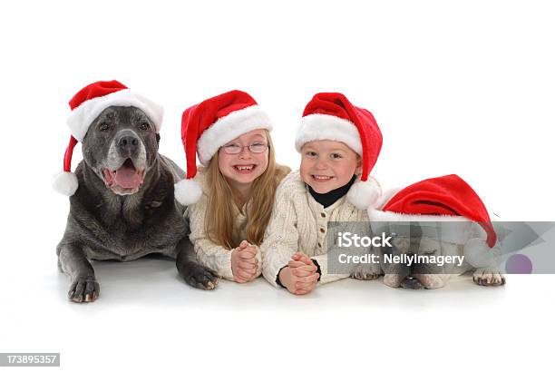 Foto de Crianças E Canines Natal e mais fotos de stock de 4-5 Anos - 4-5 Anos, 6-7 Anos, Animal