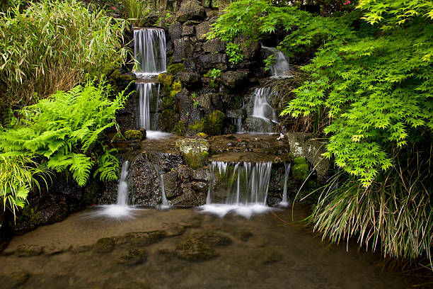 istock Waterfall surrounded by lush foliage in landscaped garden 173895823
