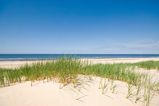 istock Sea, Sand and Dunes 173895857