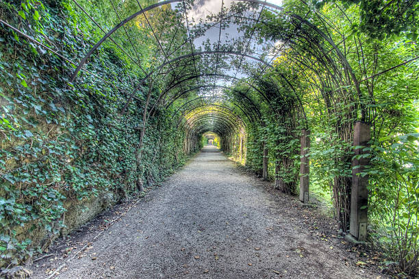 istock Passage of Life 173895903