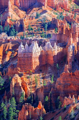 Hoodoos in Bryce Canyon, seen from Sunset Point Point in Bryce Canyon National Park, Utah.