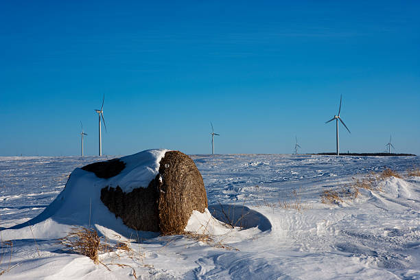風力マニトバ冬 - prairie farm winter snow ストックフォトと画像