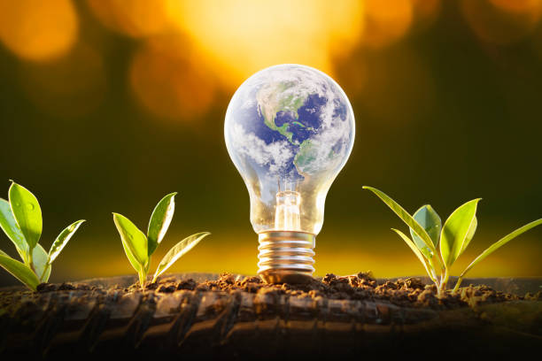istock Global in light bulb. Ecologically friendly and sustainable environment 1738968495
