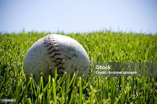 Baseball Stock Photo - Download Image Now - Agricultural Field, Baseball - Ball, Baseball - Sport