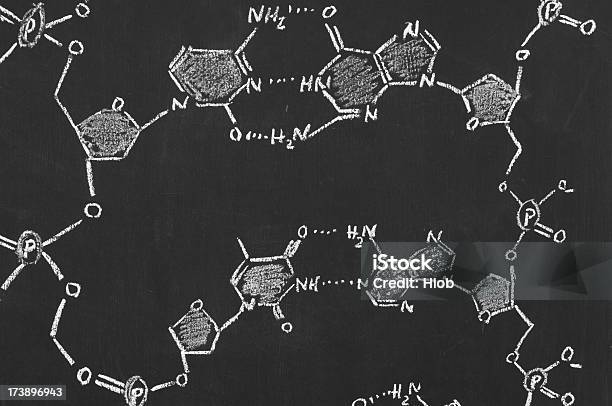 Fórmula Química En Una Pizarra De Adn Foto de stock y más banco de imágenes de Tabla de los elementos - Tabla de los elementos, Croquis, Blanco y negro
