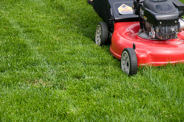 cortador de relva a cortar alto vermelho - lawn mower red plant lawn imagens e fotografias de stock