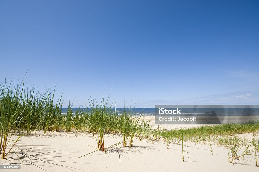 Morze, piasek i Dunes - Zbiór zdjęć royalty-free (Holandia)