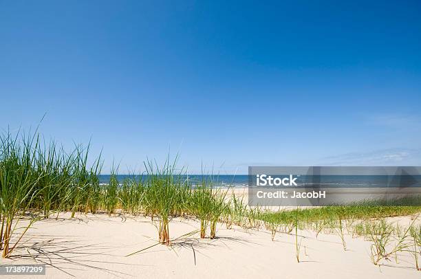 Morze Piasek I Dunes - zdjęcia stockowe i więcej obrazów Holandia - Holandia, Plaża, Morze