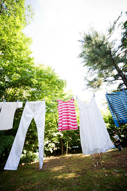 Laundry Line in Backyard stock photo