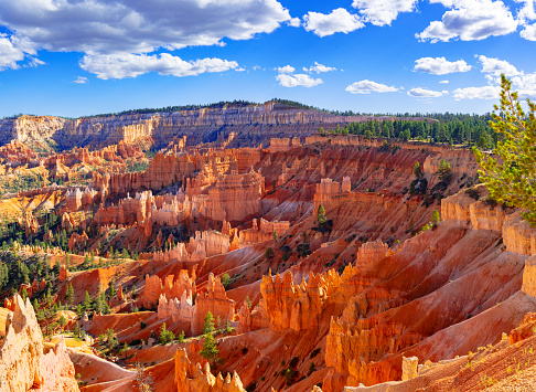 Hoodoos in Bryce Canyon, seen from Sunset Point Point in Bryce Canyon National Park, Utah.