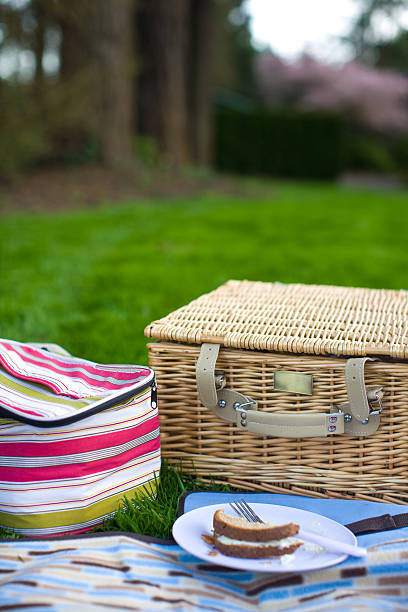 istock Picnic basket next to striped bag and half eaten sandwich 173897347