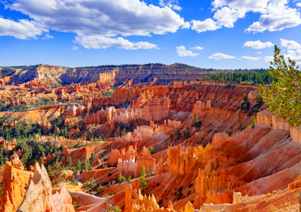 istock Bryce Canyon National Park 1738974955