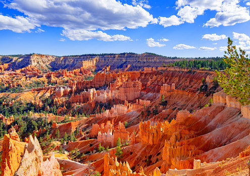 Hoodoos in Bryce Canyon, seen from Sunset Point Point in Bryce Canyon National Park, Utah.