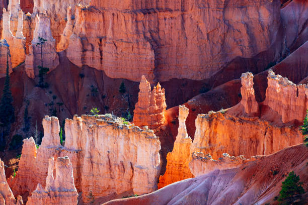 Hoodoos in Bryce Canyon, seen from Sunset Point Point in Bryce Canyon National Park, Utah.
