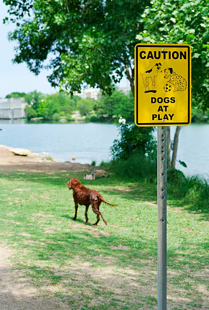 Dogs at Play Sign