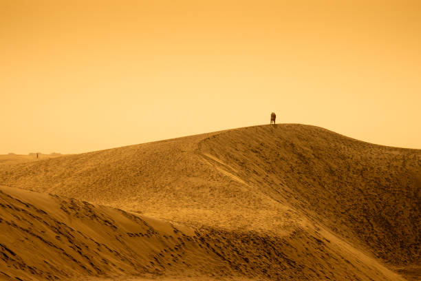Evocative panorama of golden sand dunes in Maspalomas, Gran Canaria, Spain