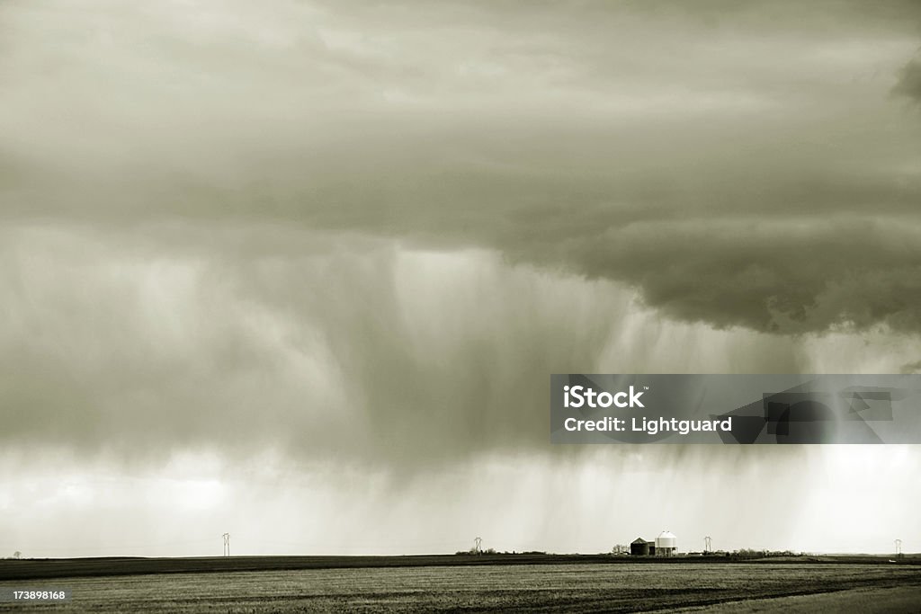 saskatchewan Tempesta di pioggia - Foto stock royalty-free di Agricoltura