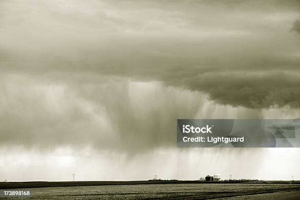 Saskatchewan Tempestade De Chuva - Fotografias de stock e mais imagens de Agricultura - Agricultura, Ao Ar Livre, Campo agrícola