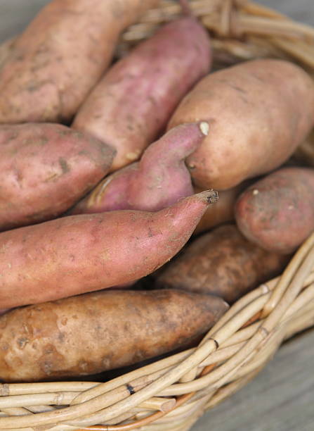istock Basket of sweet potato 173898217