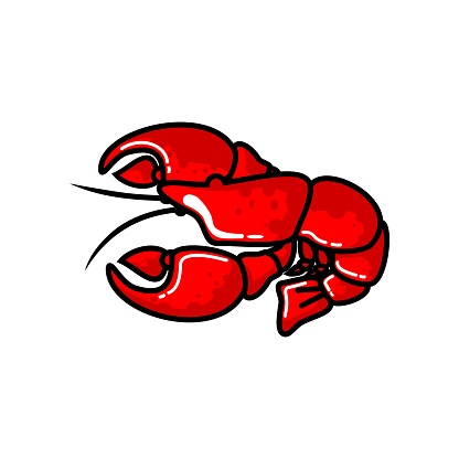 red lobster vector design on white background