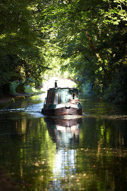 cruzeiro no canal narrowboat saindo de floresta em luz do sol - canal warrington english culture uk - fotografias e filmes do acervo