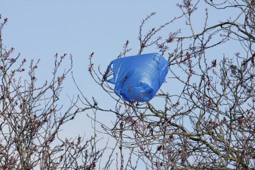 Blue plastic bag blowing in the wind