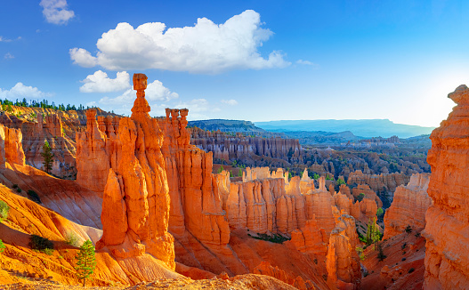Hoodoos in Bryce Canyon, seen from Sunset Point in Bryce Canyon National Park, Utah. The largest spire is called Thor's Hammer.