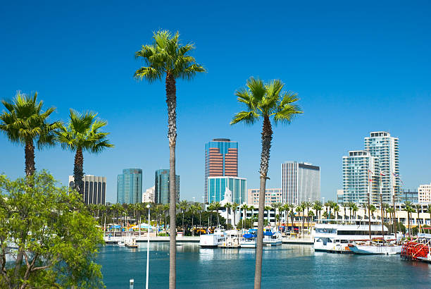 istock Long Beach downtown and Queensway Bay 173899183