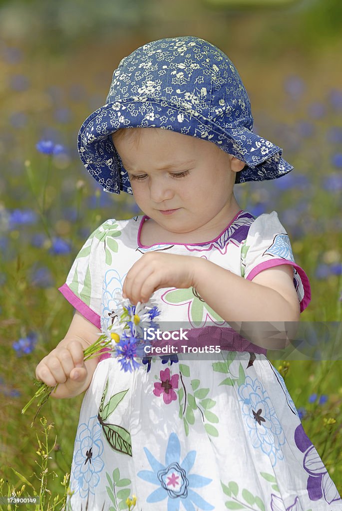 Baby girl on green meadow Portrait - Cute baby girl on the meadow Agricultural Field Stock Photo