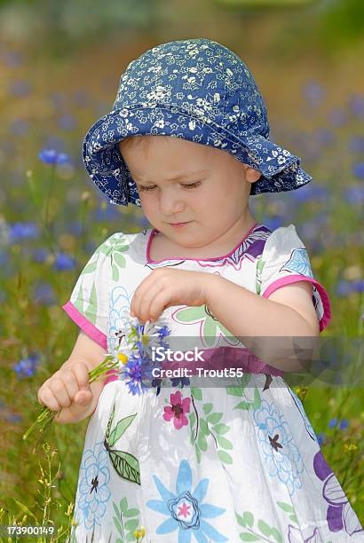 Baby Girl On Green Meadow Stock Photo - Download Image Now - Agricultural Field, Baby - Human Age, Baby Girls