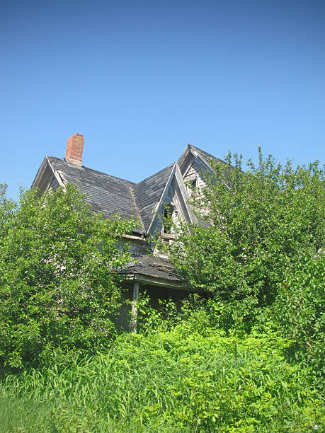 istock Abandoned overgrown farmhouse. 173900315