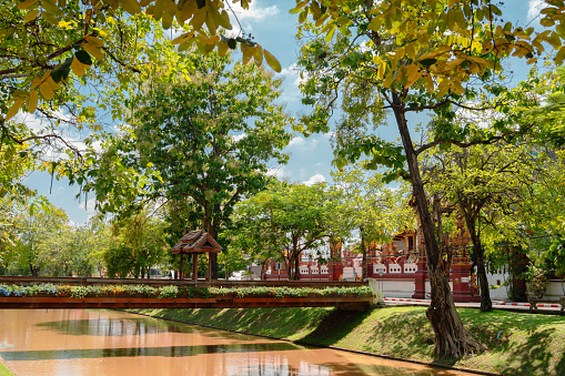 Chiang Mai old city moat and green forest road in Thailand