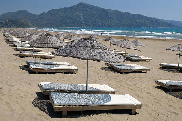 istock Iztuzu Beach, Dalyan, Mugla, Turkey 173900673