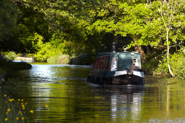 canal narrowboat aufstrebenden in sonnenlicht von woods - canal warrington english culture uk stock-fotos und bilder