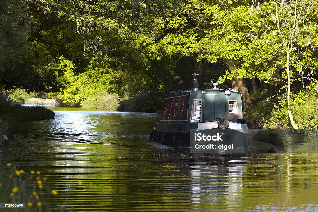 Canal narrowboat emergentes em luz do sol da floresta - Foto de stock de Warrington - Inglaterra royalty-free