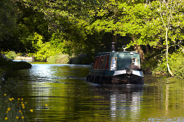 canal narrowboat emergentes na luz do sol na floresta - canal warrington english culture uk imagens e fotografias de stock
