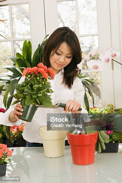 Młode Azjatyckie Kobiety Pracy Ze Szczelną Obudowę Roślin - zdjęcia stockowe i więcej obrazów 20-29 lat