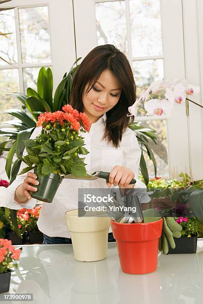 Jovem Mulher Asiática Com Plantas De Vaso Trabalho - Fotografias de stock e mais imagens de 20-29 Anos - 20-29 Anos, Adulto, Asiático e indiano