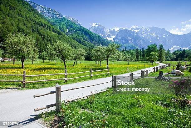 Idyllische Alpen Valley Stockfoto und mehr Bilder von Alpen - Alpen, Baumblüte, Berg