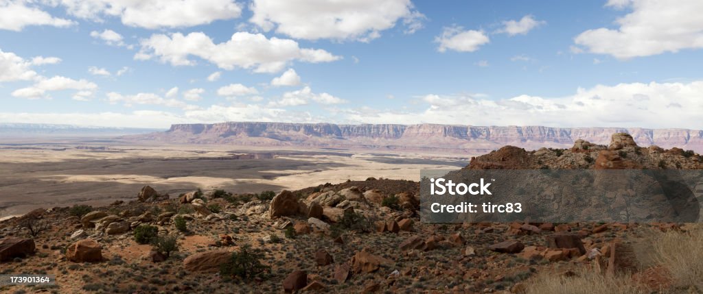 panorama du désert de l'Arizona - Photo de Arbre libre de droits