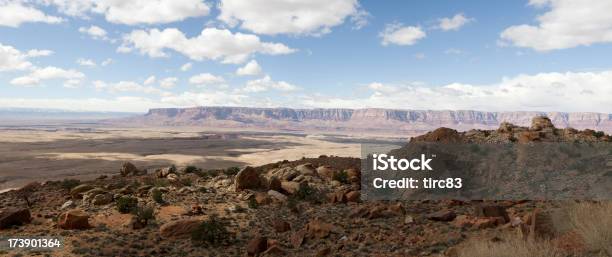 Photo libre de droit de Panorama Du Désert De Larizona banque d'images et plus d'images libres de droit de Arbre - Arbre, Arizona, Beauté de la nature